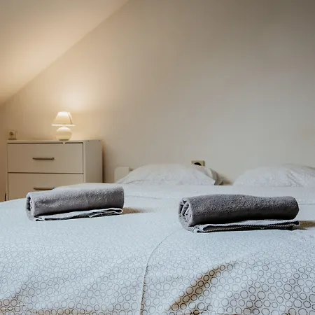 Wood Stara Ochota