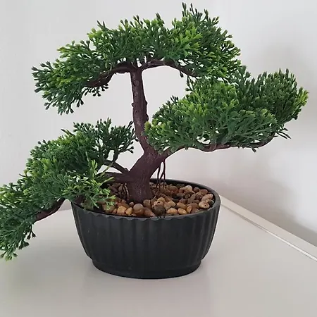 Проживание в семье Wood Stara Ochota